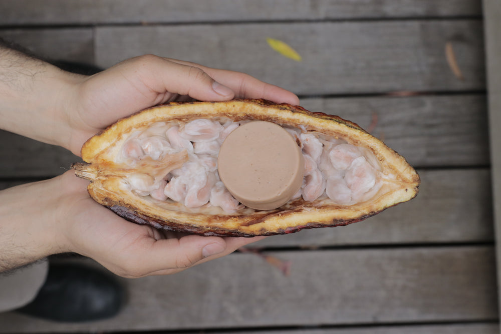 Barra acondicionadora de cacao para el crecimiento