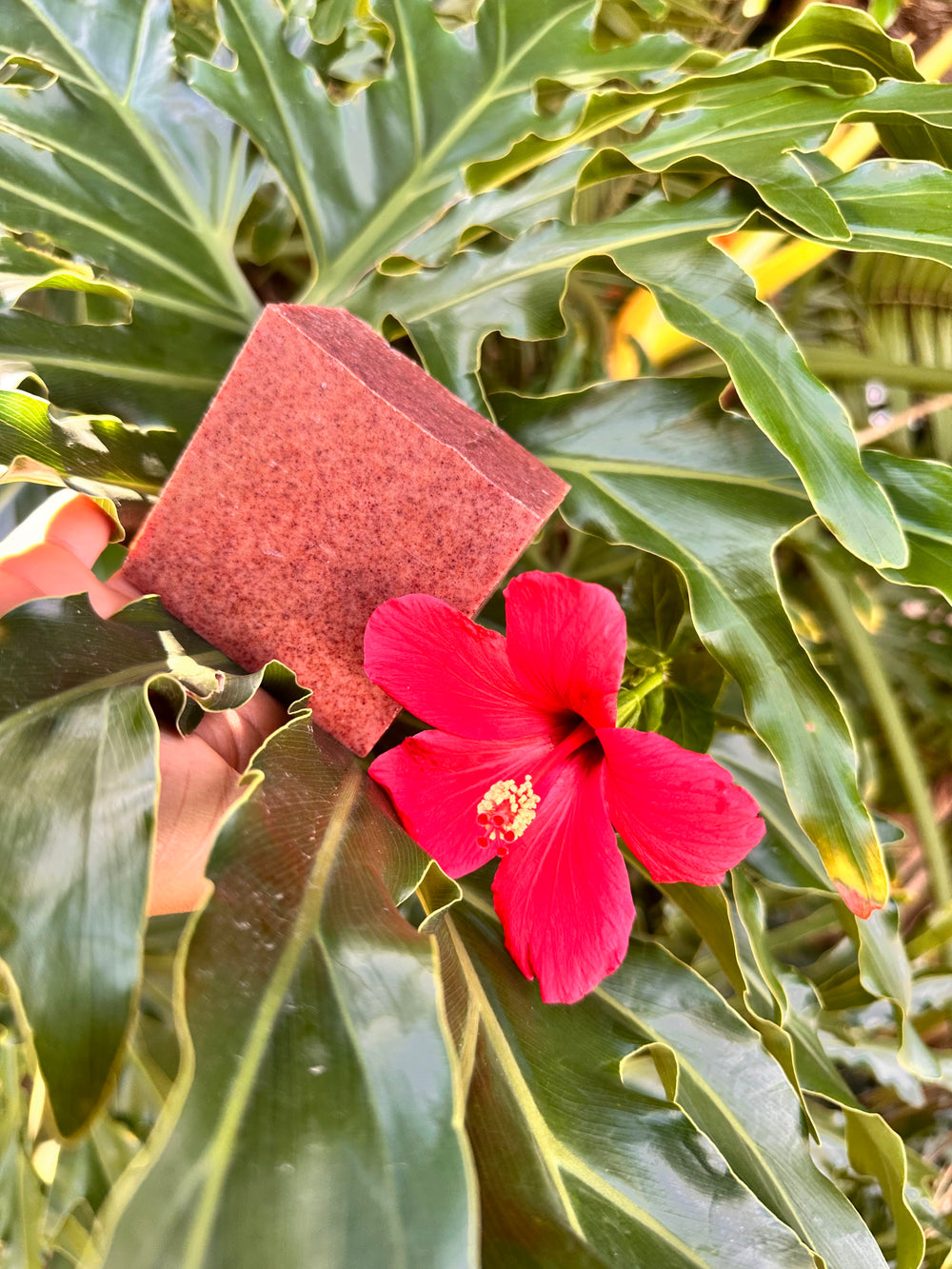 Barra de jabón natural de Majagua (Hibiscus)